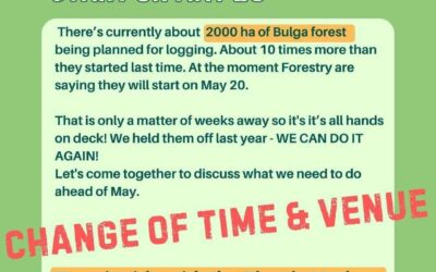 Save Bulga Forest update